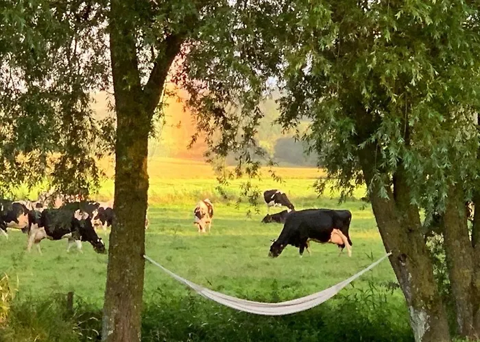 Kwatera prywatna D'hotes De Charme